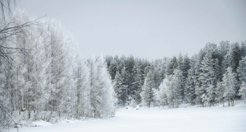 Paysage enneigé d'un matin d'hiver en Finlande