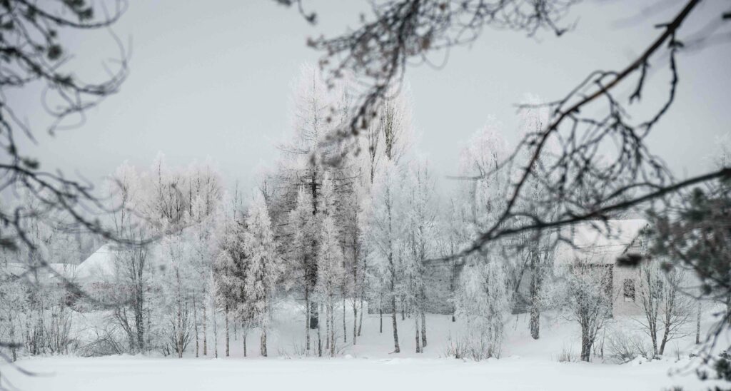 Paysage enneigé d'un matin d'hiver en Finlande